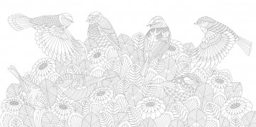 Millie marotta beautiful birds pocket2