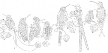 Millie marotta beautiful birds pocket3