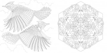 Millie marotta beautiful birds pocket4