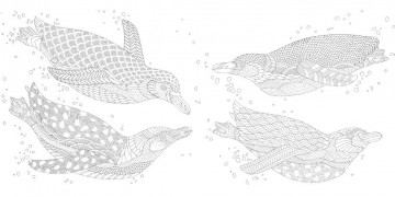 Millie marotta secrets of the sea2