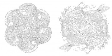 Millie marotta wildlife wonders2