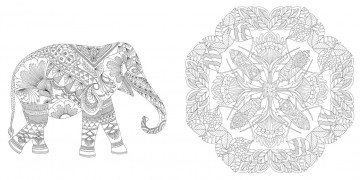 Millie marotta wildlife wonders4