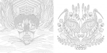 Millie marotta wildlife wonders5