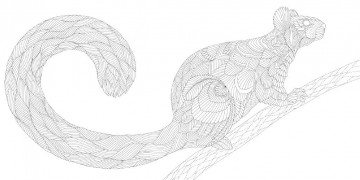 Millie marotta woodland wild2