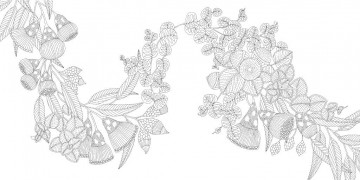 Millie marotta woodland wild4