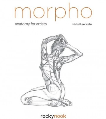 Morpho anatomy lauricella