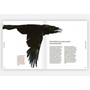 Multitalentgouache klassischetechnikneuentdeckt 1