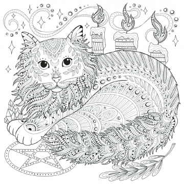 My cat mandala colouring book3