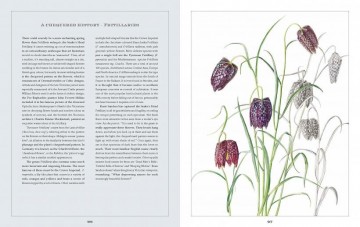 Rosie sanders flowers4