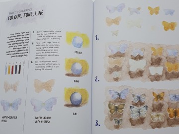 You will be able to draw coloured pencil3