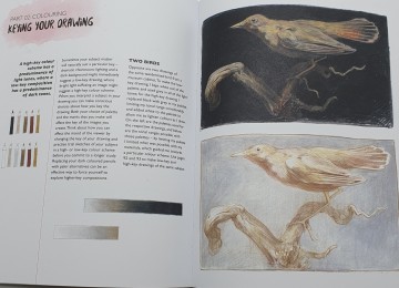 You will be alble to draw coloured pencil 2